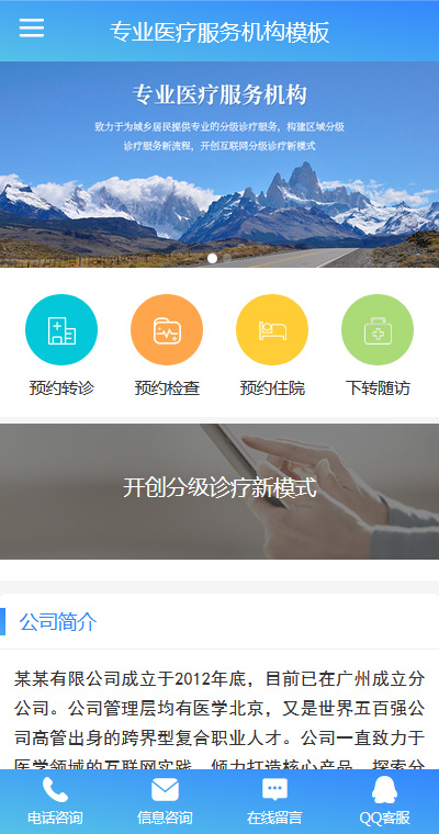專業(yè)醫(yī)療服務(wù)機(jī)構(gòu)微網(wǎng)站模板